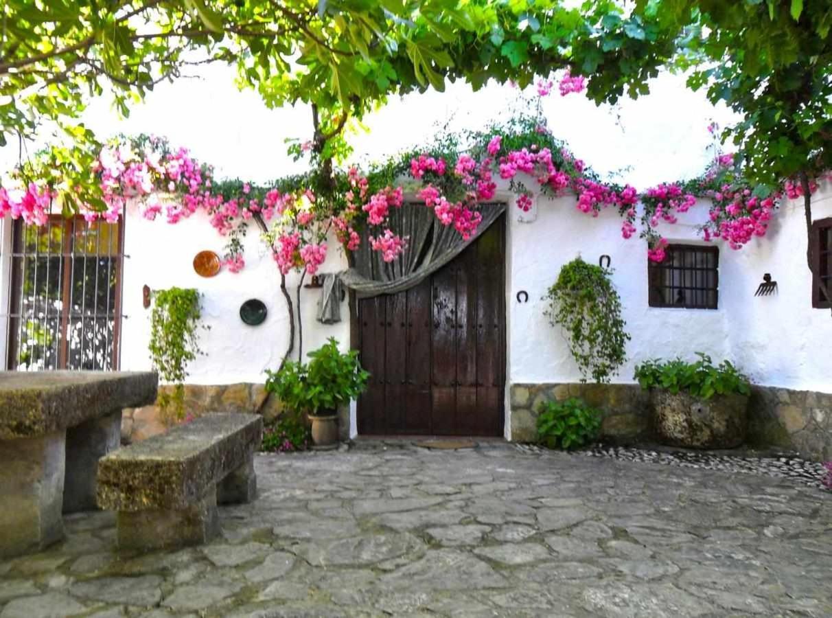 Гостевой дом Cortijo La Gineta Алькала-ла-Реаль Экстерьер фото