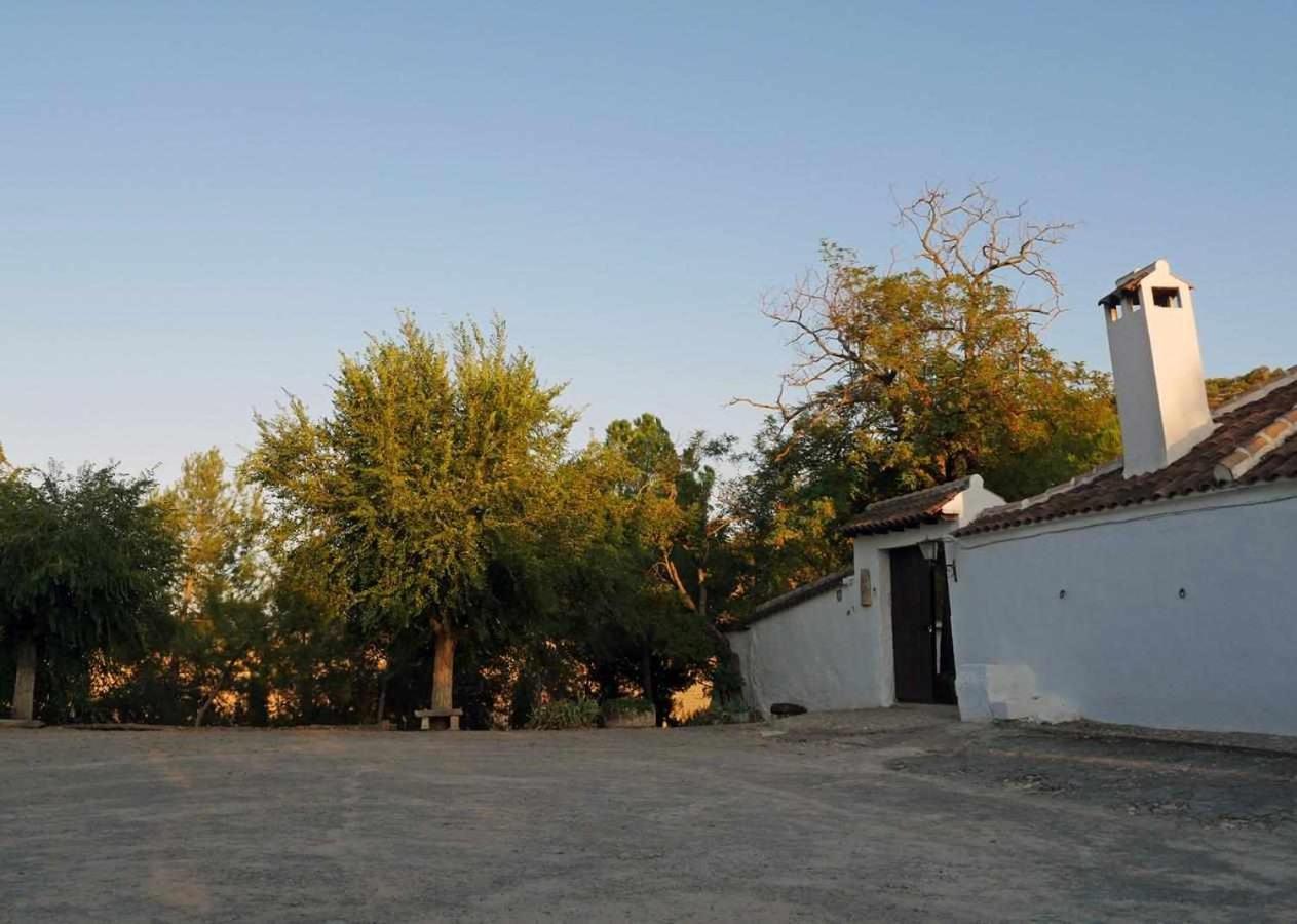 Гостевой дом Cortijo La Gineta Алькала-ла-Реаль Экстерьер фото